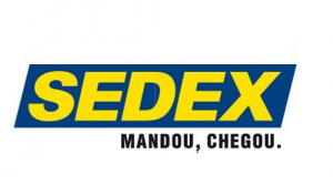 Tema Tecnica SEDEX
